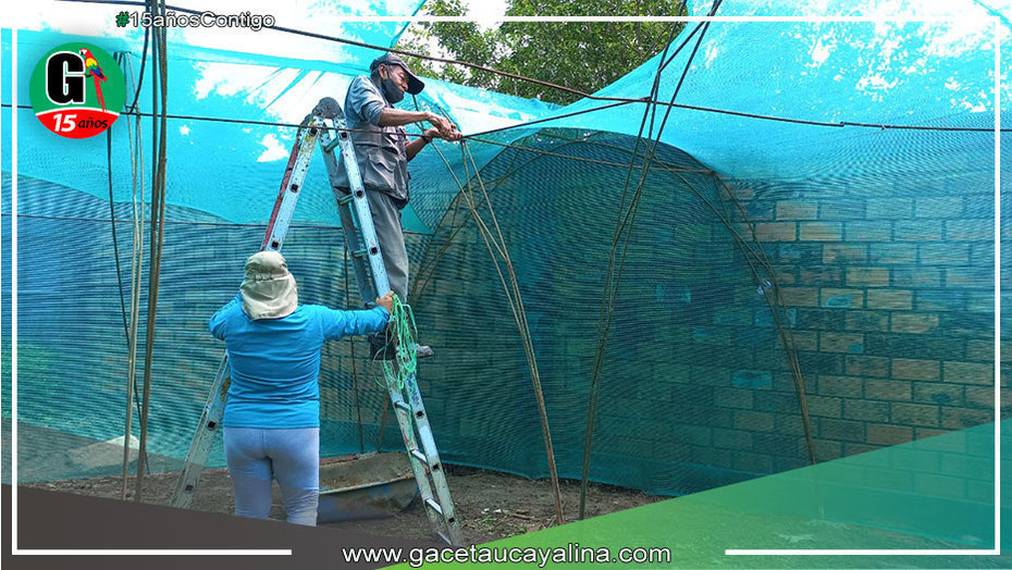Vivero municipal de Yarinacocha se trasladará detrás del Campo Ferial