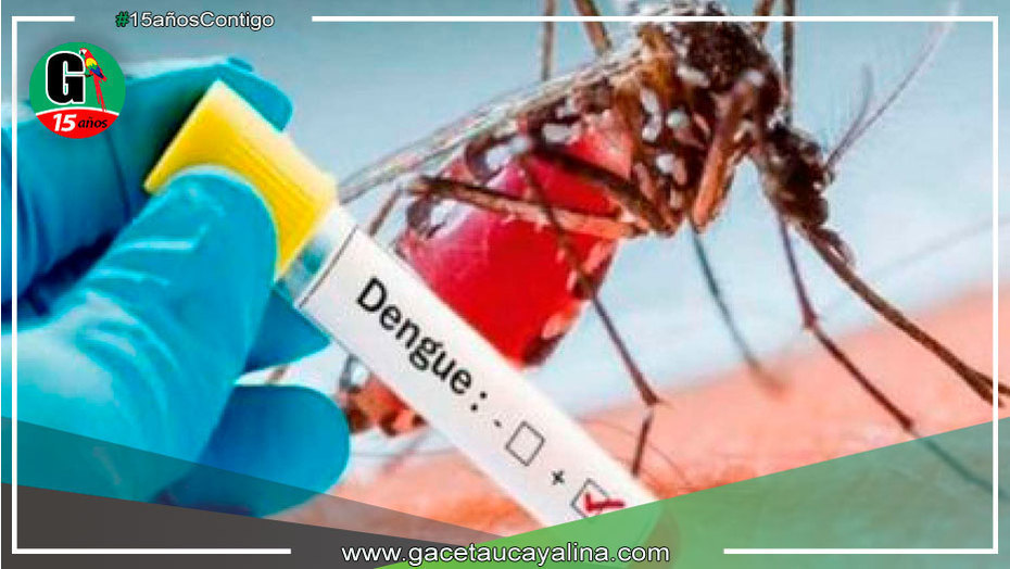 Más de 5 fallecidos por Dengue se registraron en la Región Loreto