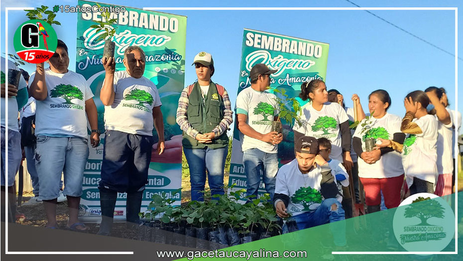 Más jornadas de "Sembrando Oxígeno en Nuestra Amazonía" con participación masiva en Neshuya