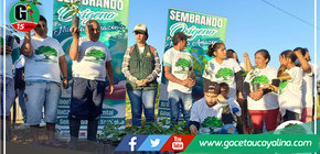 Más jornadas de "Sembrando Oxígeno en Nuestra Amazonía" con participación masiva en Neshuya