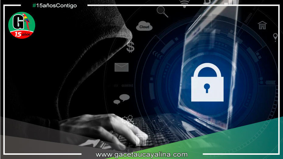 Advierten filtración de datos personales a través de plataformas del Estado