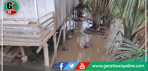 Defensa Civil de Yarinacocha fiscaliza construcciones inapropiadas 