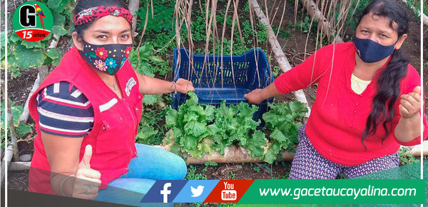 Madres emprendedoras salen adelante con producción de cultivos regionales 