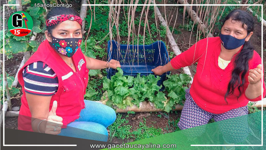 Madres emprendedoras salen adelante con producción de cultivos regionales
