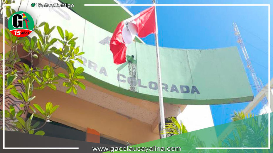 Frontis de edificios y viviendas deben lucir Pabellón Nacional según Ordenanza Municipal