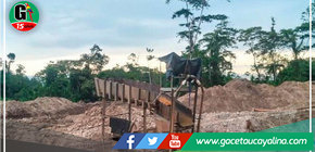 Gobernador ordena intervención en tala ilegal en la selva  