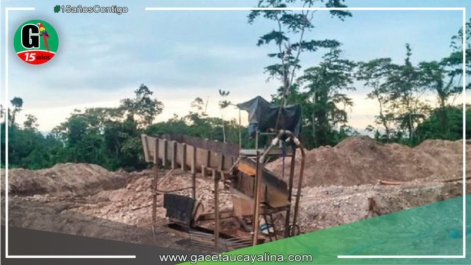 Gobernador ordena intervención en tala ilegal en la selva
