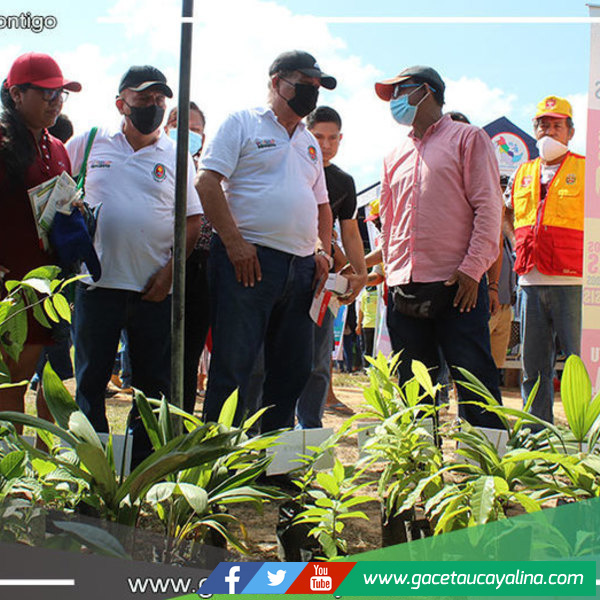 Más de 2 mil atenciones registró Caravana del Progreso en A.H. Maldonado Begazo