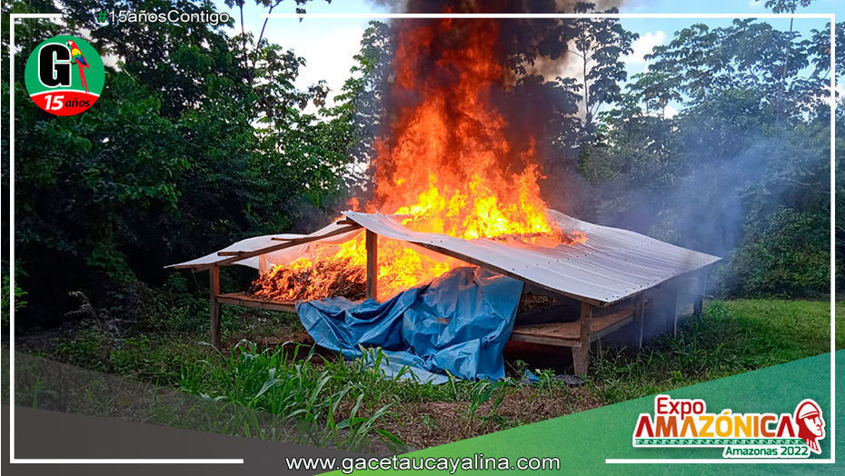 Incineran más de 7 toneladas de hoja de coca y destruyen 1 laboratorio rústico de elaboración de Droga
