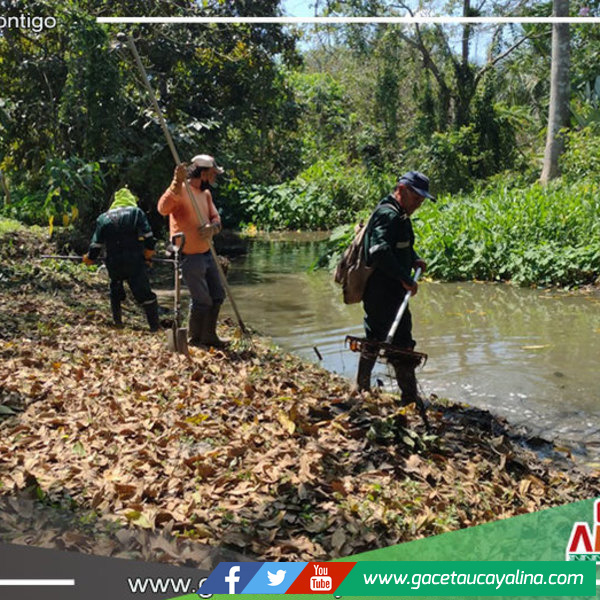 Continuo mantenimiento a caños naturales en Yarinacocha 