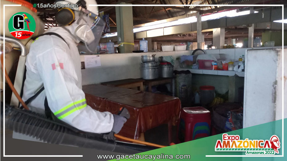 Realizan desinsectación para el control de insectos voladores y rastreros en Mercado Modelo de Yarinacocha