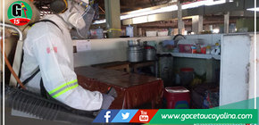 Realizan desinsectación para el control de insectos voladores y rastreros en Mercado Modelo de Yarinacocha