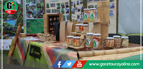 Plan Binacional Perú-Ecuador impulsa cadena de valor del bambú en zona fronteriza