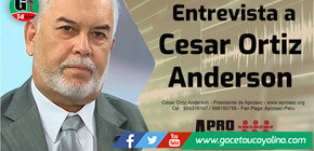 Entrevista al presidente de Aprosec a dos semanas de elecciones y donde la inseguridad es el principal problema