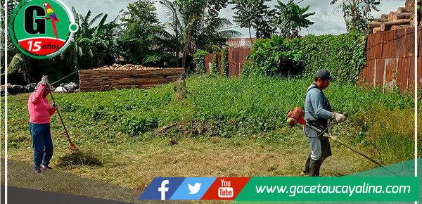 Continúa los trabajos de cultivo y desglosado de maleza en los AA.HH. de Manantay