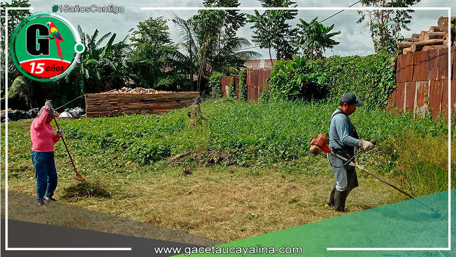 Continúa los trabajos de cultivo y desglosado de maleza en los AA.HH. de Manantay