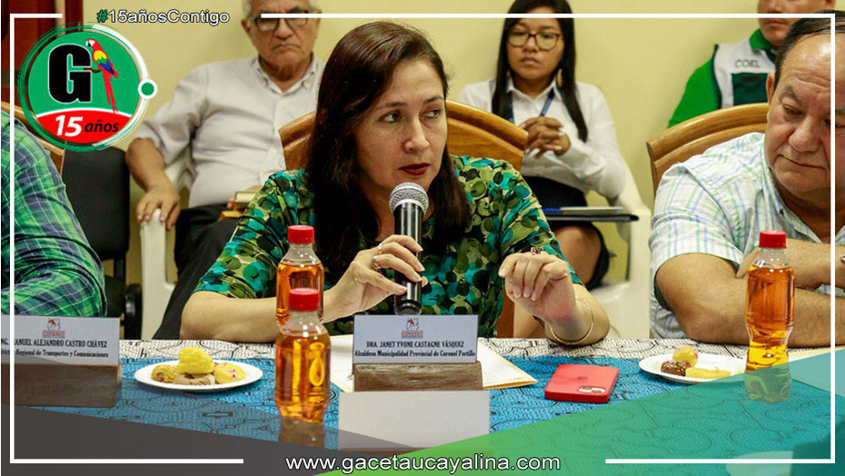 Alcaldesa Janet Castagne anuncia acciones contra la delincuencia