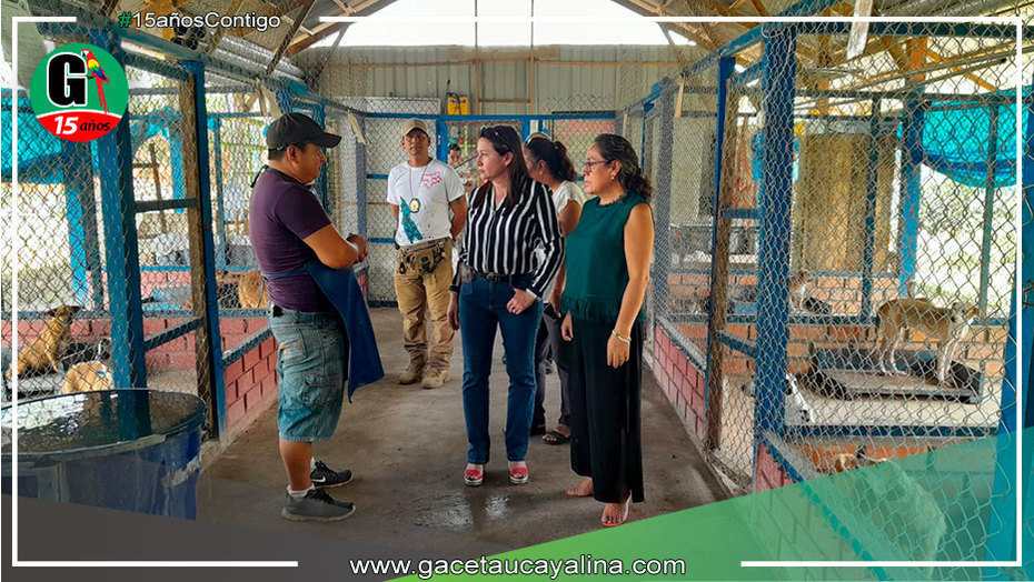 Centro canino municipal continuará mejorando atención de animales en condición de abandono