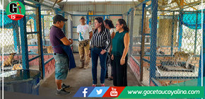 Centro canino municipal continuará mejorando atención de animales en condición de abandono 