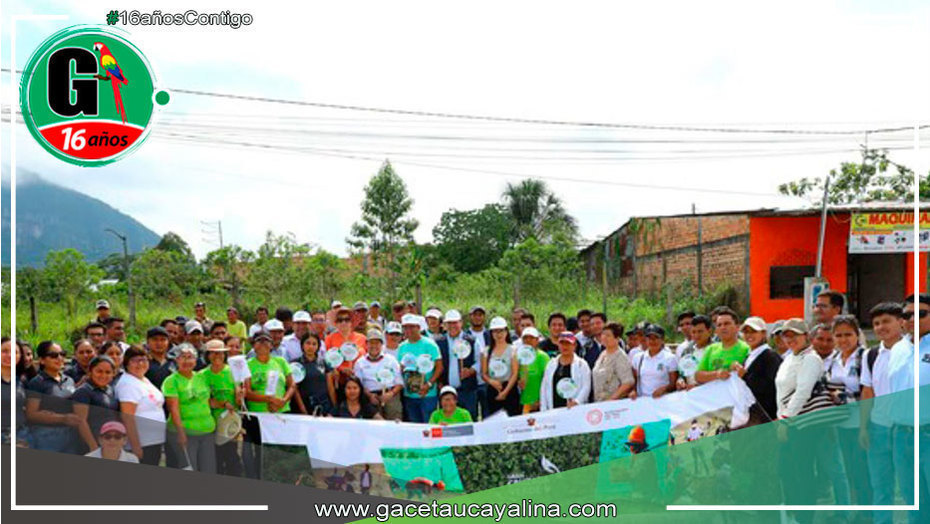 Plantan especies nativas para enfrentar cambio climático en San Martín