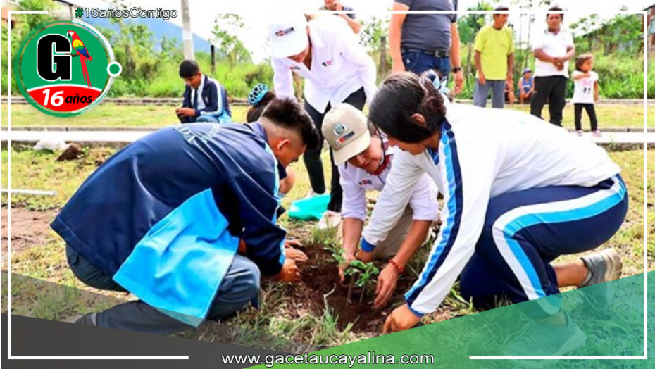 Jornada de arborización en Moyobamba