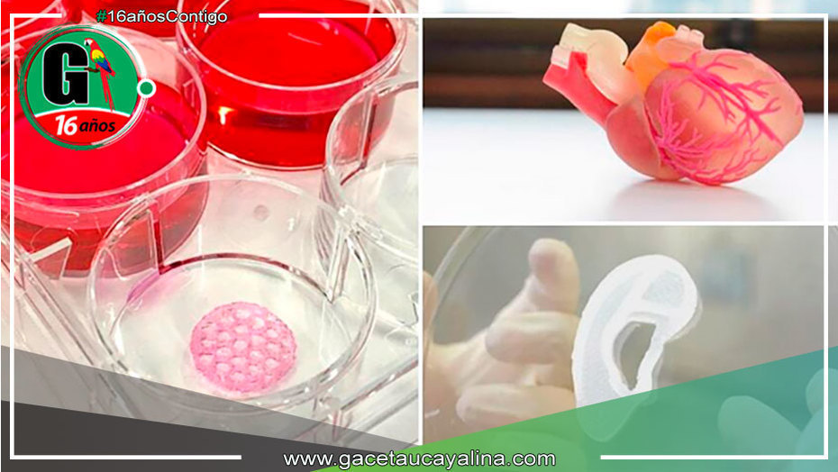 Proyectos de bioimpresión: órganos y tejidos impresos en 3D
