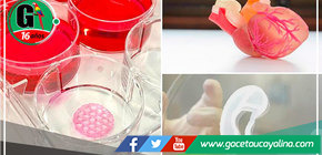 Proyectos de bioimpresión: órganos y tejidos impresos en 3D
