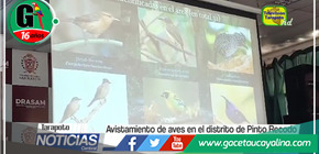 October Big Day: Celebrando el avistamiento de aves en San Martín