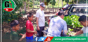 San Martín: plantan 10,000 árboles en jornada de reforestación