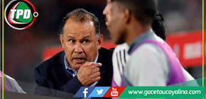 Los números de Juan Reynoso al mando de la bicolor 