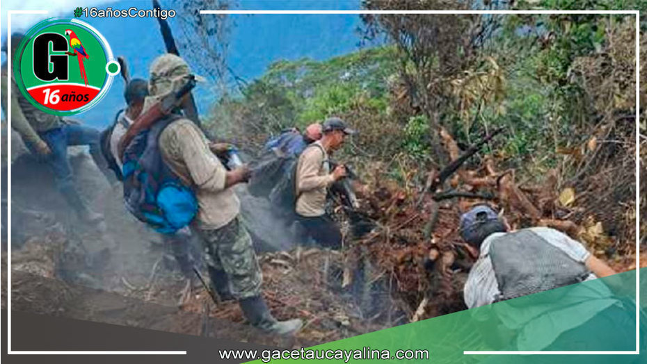 San Martín: Brigadistas sofocan incendio forestal en Cordillera Escalera