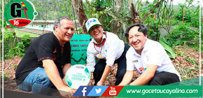 San Martín: Plantan 500 árboles de especies nativas