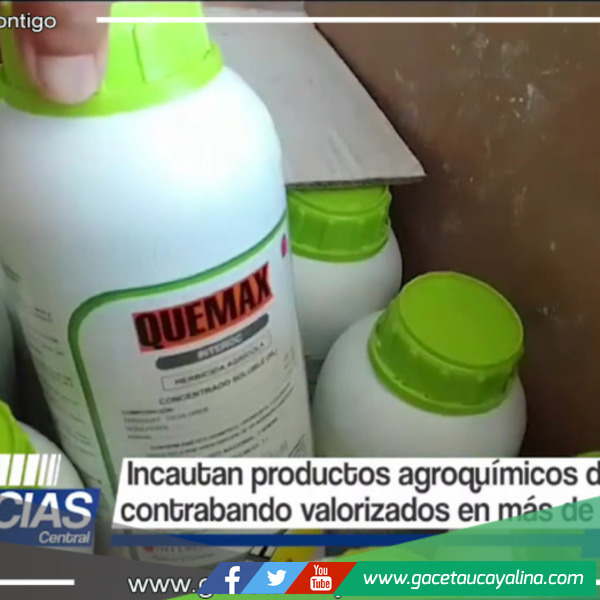 Autoridades de Tarapoto frustran intento de contrabando de agroquímicos valuados en más de S/ 25,000 