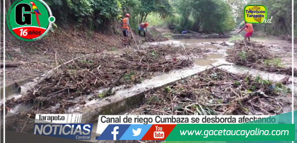 Desbordamiento del canal de riego Cumbaza provoca pérdidas en cultivos y acuicultura