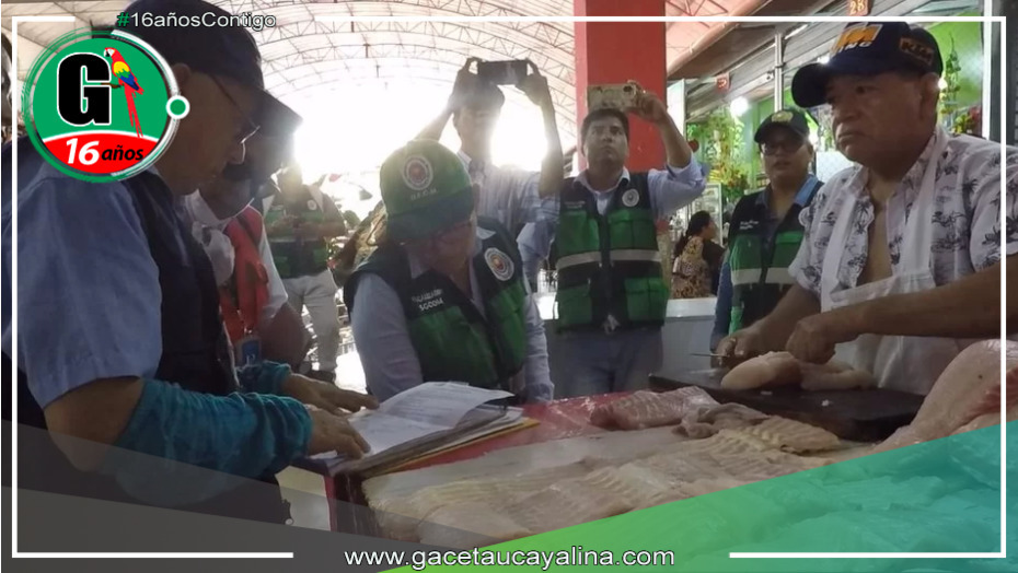 Pucallpa: Advierten que paiche procedente de ríos y lagos será decomisado