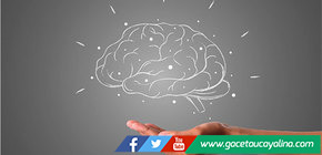 ¿Es posible realizar actividades para mejorar la capacidad cognitiva?