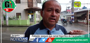 Denuncian contaminación por camal frigorífico de Cacatachi