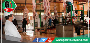 Huánuco: Luego de diez días, Camal Municipal reinicia la matanza de ganados