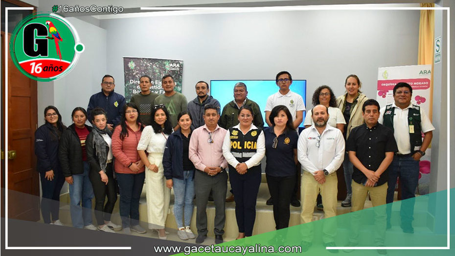 Instalan Mesa Regional de Control y Vigilancia Forestal y de Fauna Silvestre en Amazonas