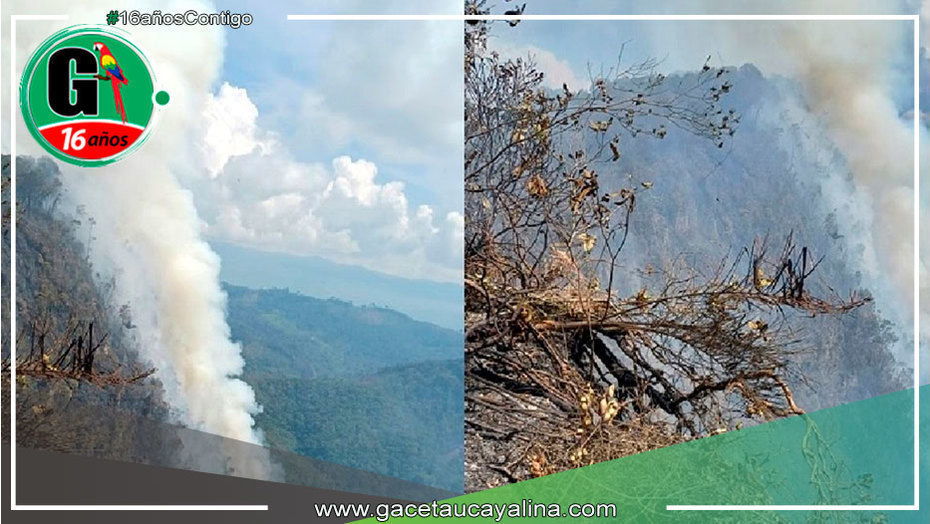 San Martín: Sobrevuelan caserío donde se desató incendio forestal