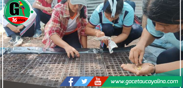 Proyecto de invernadero escolar en colaboración con Villa Toscano en Picota