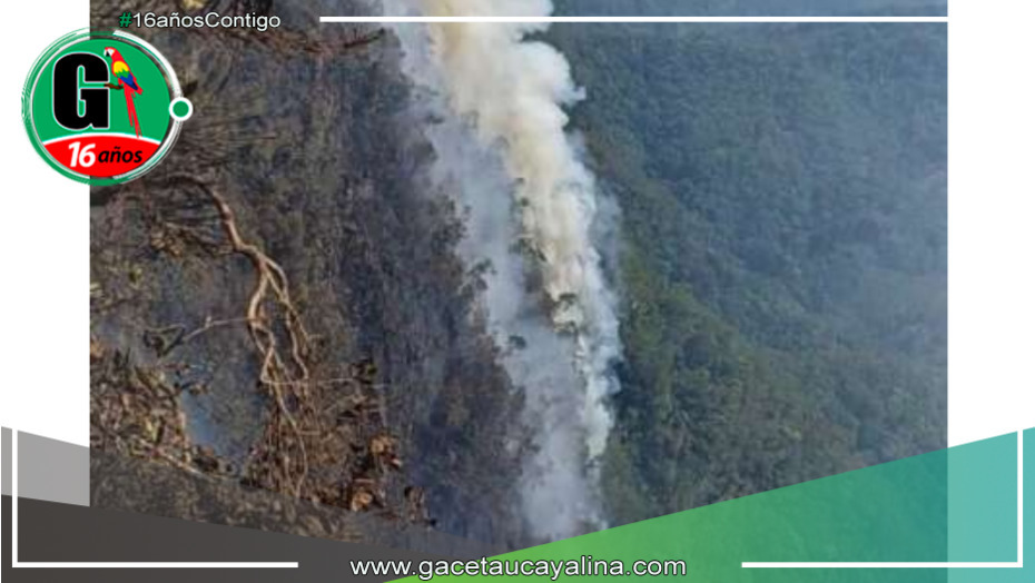 Urge apoyo aéreo para contener incendio forestal de ocho días