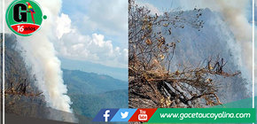 San Martín: Sobrevuelan caserío donde se desató incendio forestal