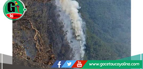 Urge apoyo aéreo para contener incendio forestal de ocho días 