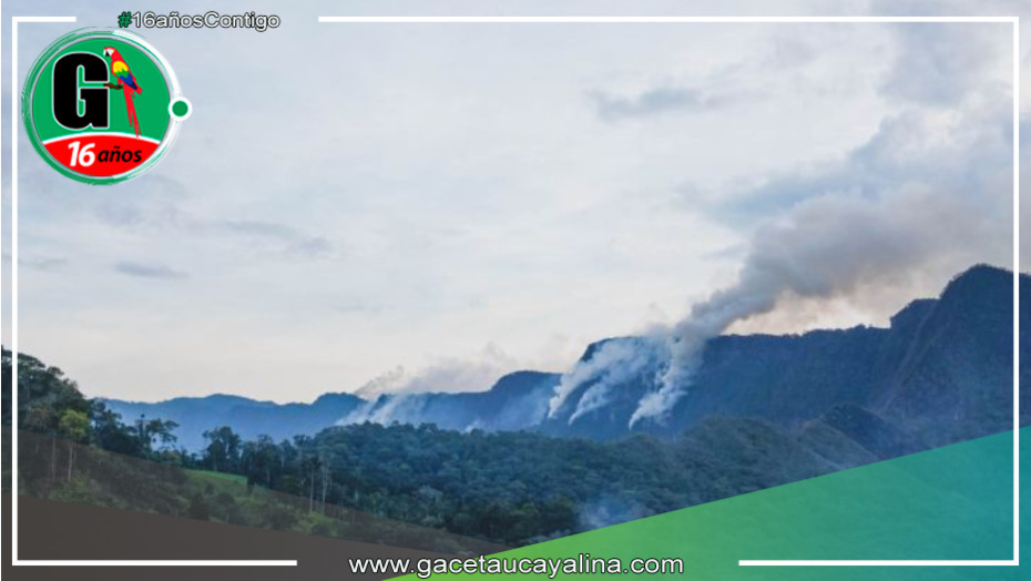 Emergencia Ambiental en El Dorado: Incendio Forestal en San Martín de Alao