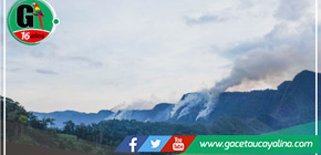 Emergencia Ambiental en El Dorado: Incendio Forestal en San Martín de Alao