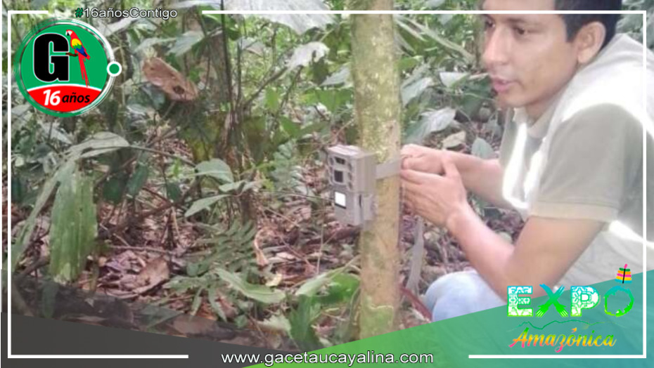 Se colocan 7 cámaras trampa en ACR Cordillera Escalera