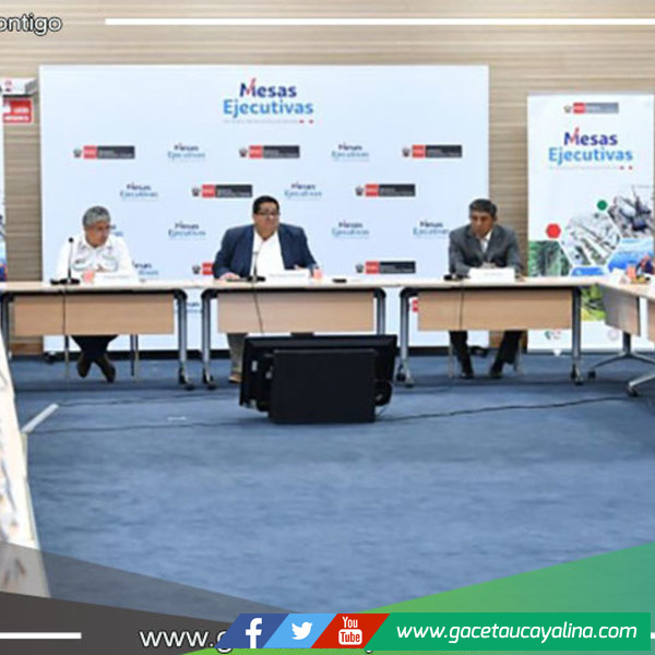 Organizaciones saludan iniciativa de la Mesa Ejecutiva para el Desarrollo de la Amazonía