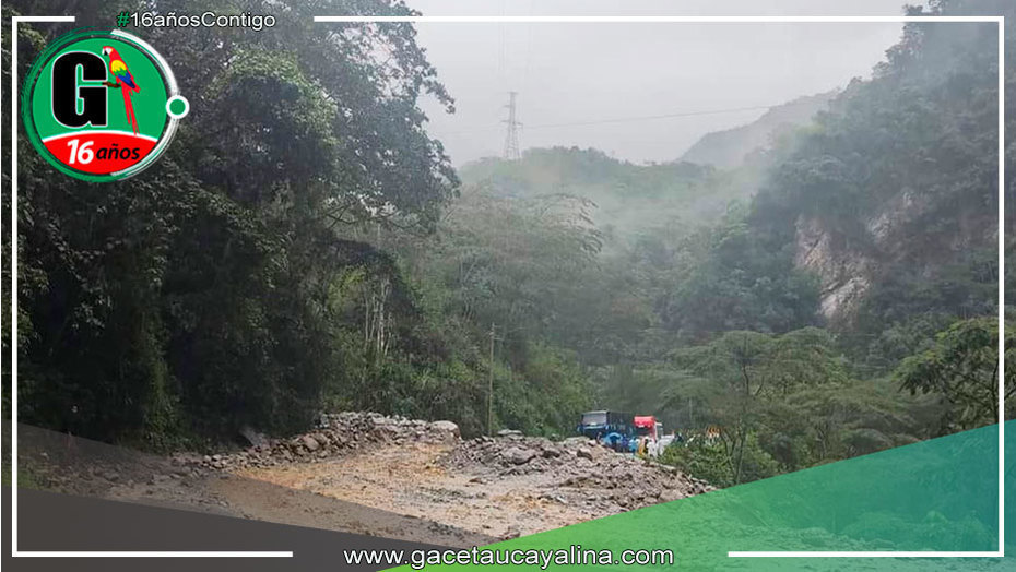 Retiran piedras y lodo de la carretera Marginal de la Selva en Junín