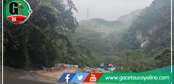 Retiran piedras y lodo de la carretera Marginal de la Selva en Junín